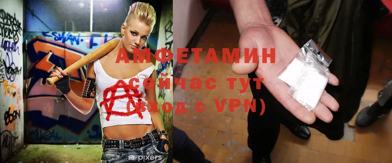 Amphetamine Розовый  дарнет шоп  hydra ссылка  Пошехонье 